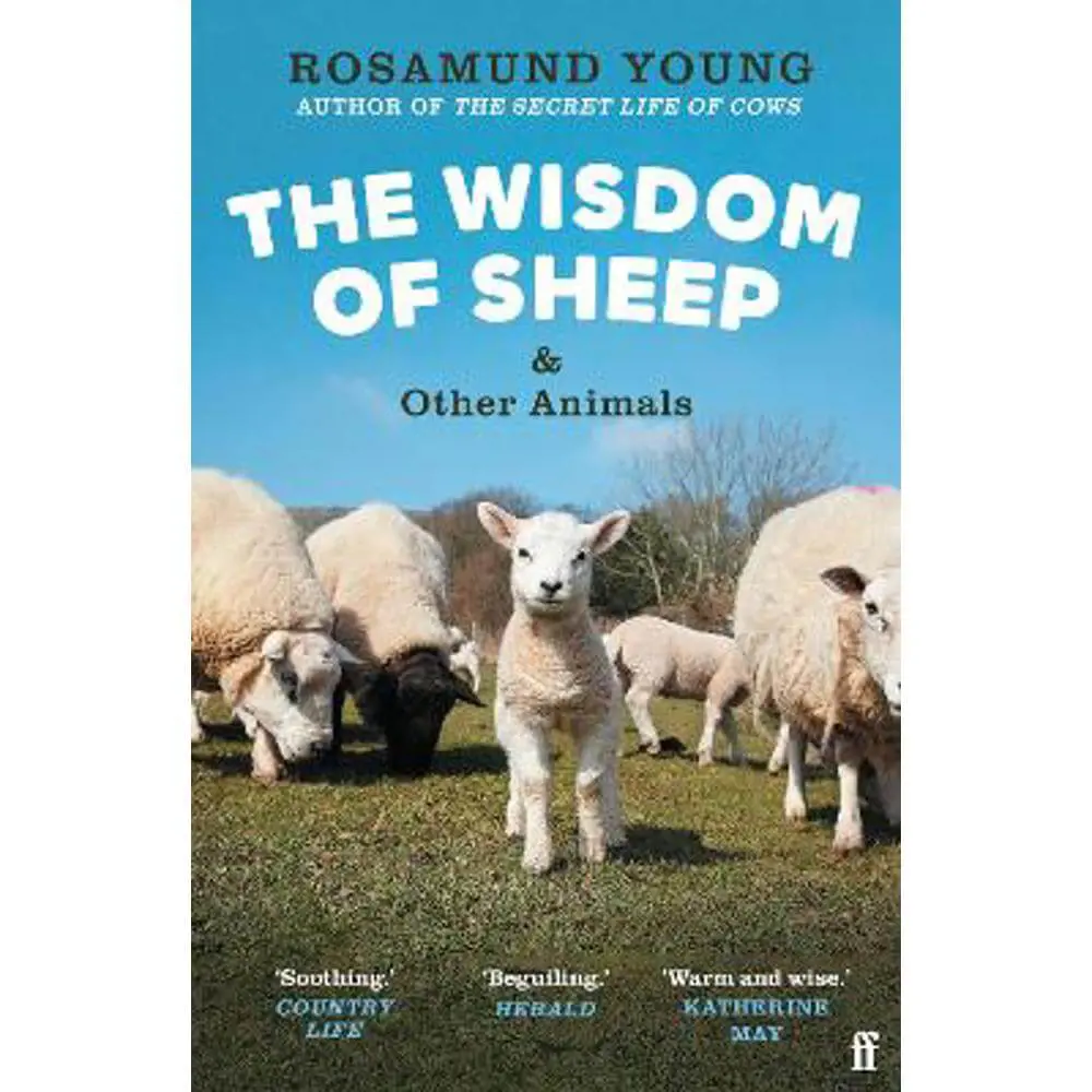 The Wisdom of Sheep & Other Animals: Observations from a Family Farm (Paperback) - Rosamund Young